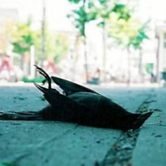 Neurosis and Diamanda Galas - Belief w Let Us Praise the Masters of Slow Death