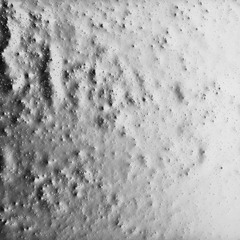 03 Phorma