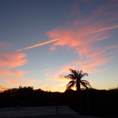 Lost In Key Largo