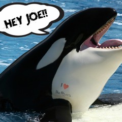 Hey Joe! ( Jimi Hendrix Cover)