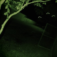 Golden Rosaries [Prod. SwuM]