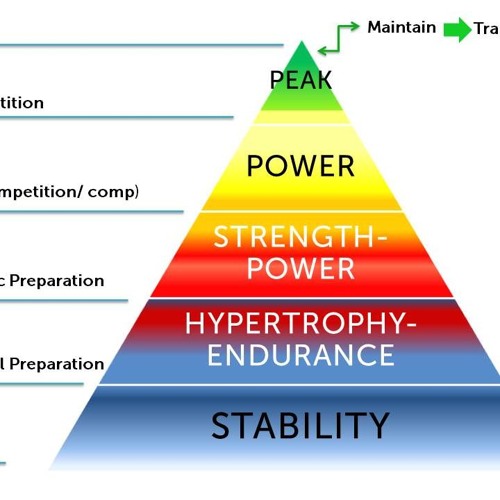 Stream MODULE 6 A Periodization Model For Resistance Training by
