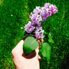 "... I give you my sprig of lilac"