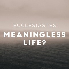 Threading Your Needle: Ecclesiastes 11:7 – 12:8