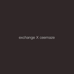 exchange X bryson tiller (cover)