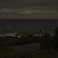 (Spring) Frog Chorus At Dusk By The South Pacific Ocean
