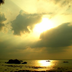 For the Beautiful Ones