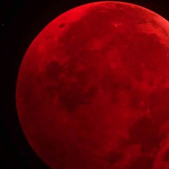 New Moon - Nana Zen X Boston Chery MontrealBoston Collab