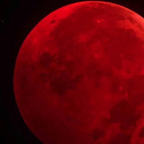 New Moon - Nana Zen X Boston Chery MontrealBoston Collab