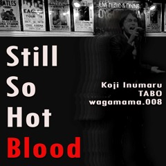 Still So Hot Blood / Koji Inumaru + TABO + wagamama.008