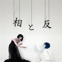 相と反sample