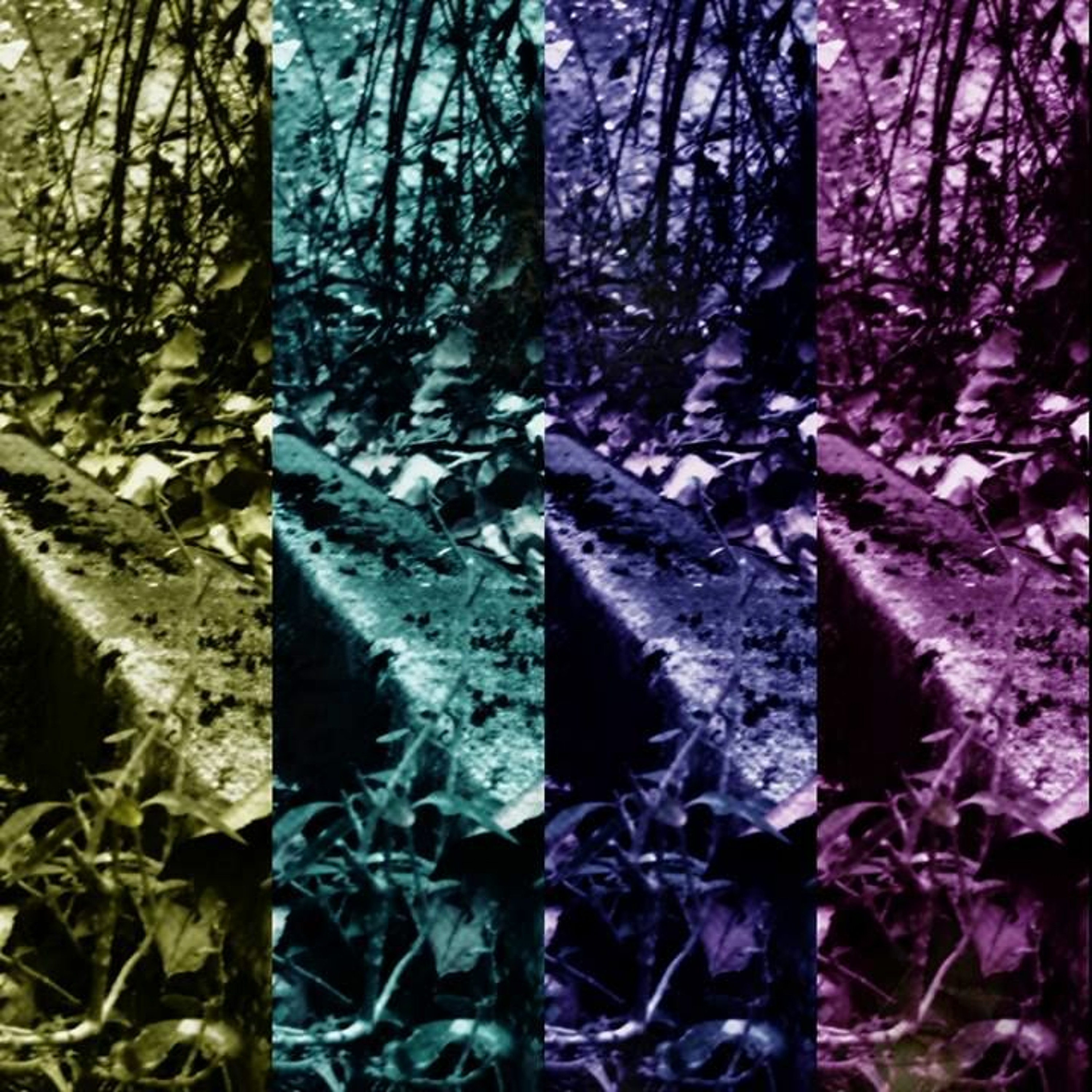 TWD Hardsample.MP3 episode artwork