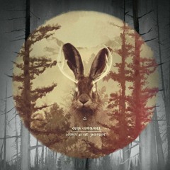 Coma Commander - Broken Bottles And Empty Veins
