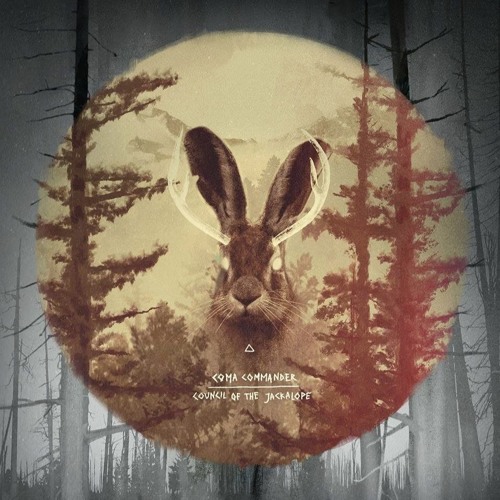 Coma Commander - Broken Bottles And Empty Veins