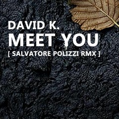 Meet You - David K. (  Salvatore Polizzi unofficial RMX )