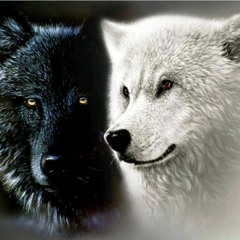 Les Deux Loups, conte cherokee, patrick fischmann à France Inter
