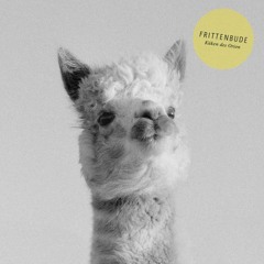 Frittenbude - Rave Ist Kein Hobby (Joney Remix Snippet) OUT NOW