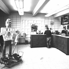 Technobabel: Against the inevitability of tomorrow's robot economy.
