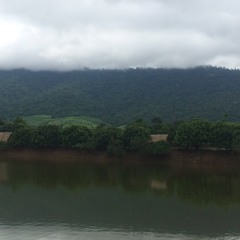 រាំងដុះមាត់បឹង