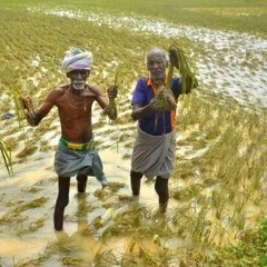 Centre releases about 940 crore rupees as flood assistance for Tamil Nadu.