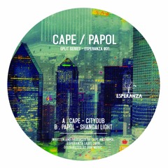 Cape Citydub