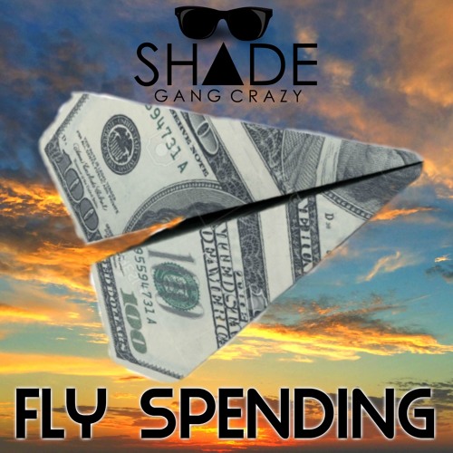 Fly Spending