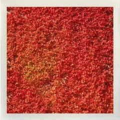 Dirk Sid Eno - Wasserspielplatz - DTZ065