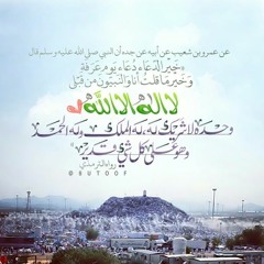 Surah Al-Qiyamah  سورة القيامة بصوت هزاع البلوشي