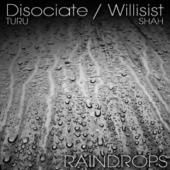 Raindrops - Disociate and Willisist