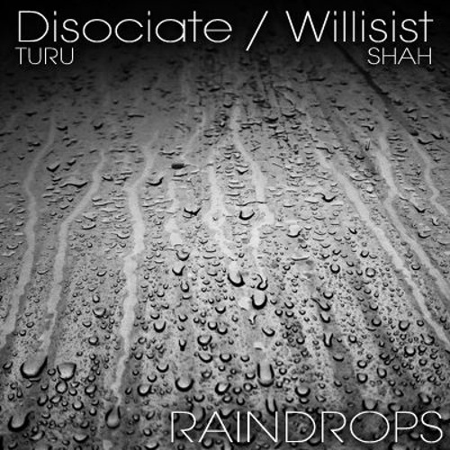 Raindrops - Disociate and Willisist