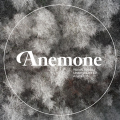 Wataru Kishida - Racer - Anemone Recordings