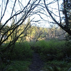 Rise (Prod By Ricky Hernandez)