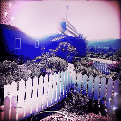 Stream by Mr. Andrew's Garden Listen online for free on