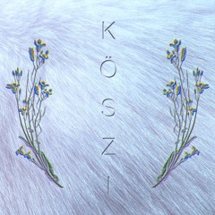 Köszi I Pendla Mixtape