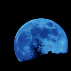 Mon Jadden - Bright Blue Luna