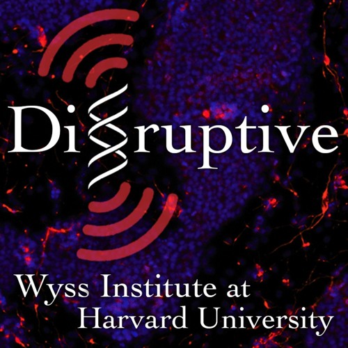 Disruptive: Cancer Vaccine & Hydrogel Drug Delivery | Wyss Institute