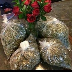 Lifestyle X Paranoid - Rich GangTy Dolla $ign - (William Singe Mash - Up Cover)