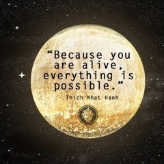 Always Peace Tomorrow