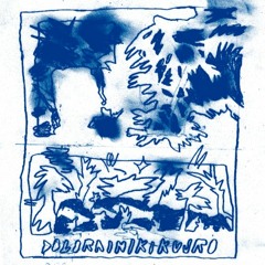 dolorain/kikujro kurage