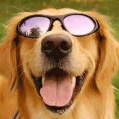 Bohlen Pierce Piano Improvisation - Winter Funk