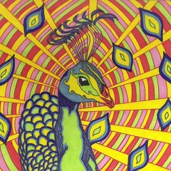 Healthadelic Sheltagation