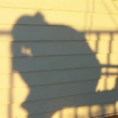 Here Is The Shadow - 120