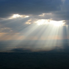 Sunbeams