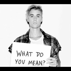 Justin Beiber - What do you mean (cover)