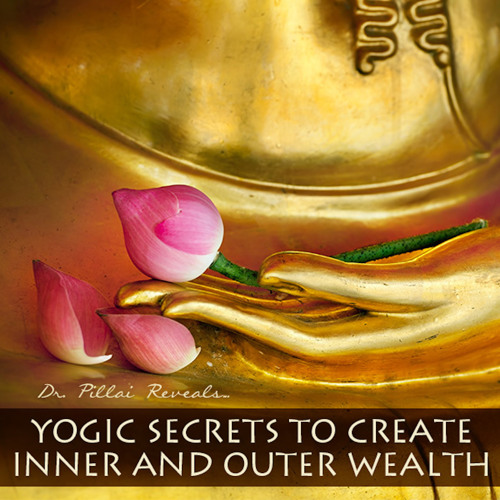 Shreem Brzee- Dr. Pillai Explains The Ultimate Wealth Building Mantra