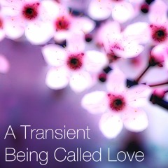 A Transient Being Called Love