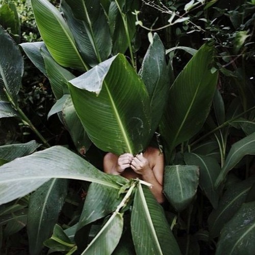 Jungle Part 2 (A Love Song)