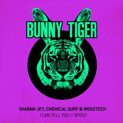Sharam Jey, Chemical Surf, Woo2tech - I Can Tell You (Original Mix) by Bunny Tiger!