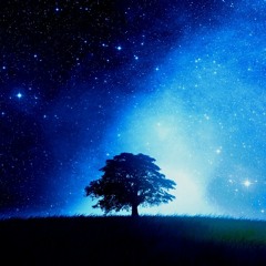 xi - Wish Upon Twin Stars