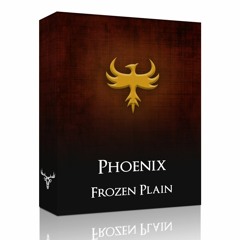 Demo - Jakub Gawlina - Phoenix